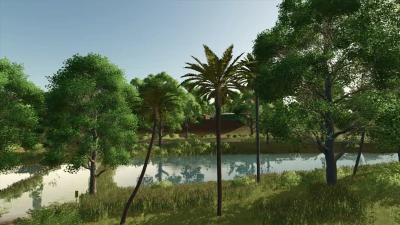 Lapacho Palms v1.0.0.0