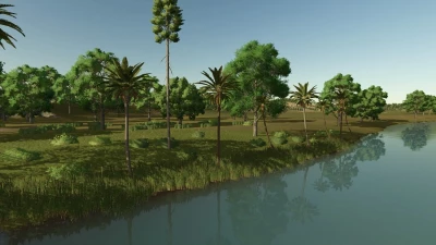 Lapacho Palms v1.0.0.0