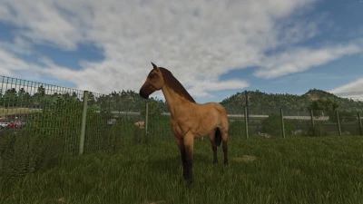 Stall Rental v1.0.0.0