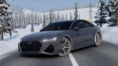 Audi RS6 v1.0 0.37.x