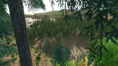 Blue Island Forest v1.0.0.0
