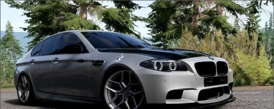 BMW 5 Series (F10) (2012 2016) V7.2 0.38