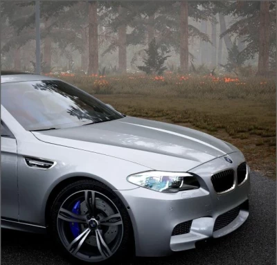 BMW F10 M5 + Competition (2011 2016) 0.38