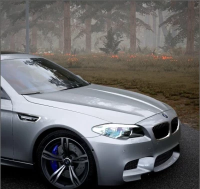 BMW F10 M5 + Competition (2011 2016) 0.38