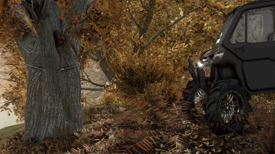 Can Am Defender 2D v1.0.0.0