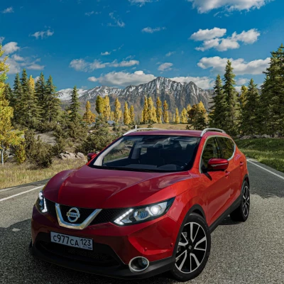 Nissan Qashqai 0.38.x