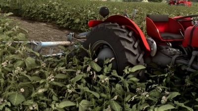 OLT Sava 20/24/28 v1.0.0.0