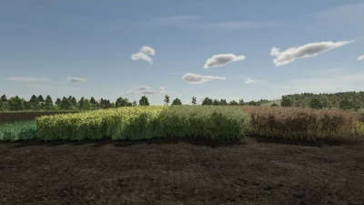 Realistic Canola Growth Cycle in Europe v1.0.0.0