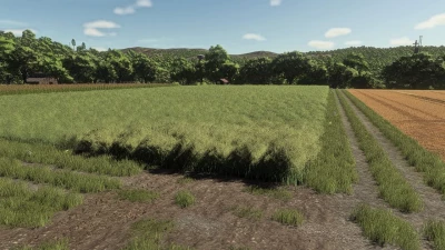 Realistic Canola Growth Cycle in Europe v1.0.0.1