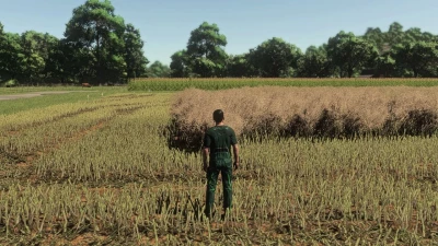 Realistic Canola Growth Cycle in Europe v1.0.0.1