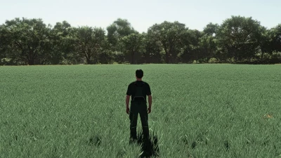 Realistic Oat Growth Cycle in Europe v1.0.0.0