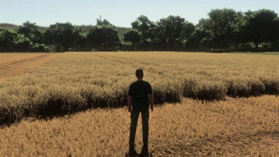 Realistic Wheat & Barley - Europe Growth Cycle v1.0.0.0
