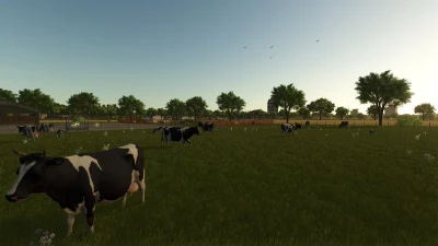 The Elm Rochester v1.0.0.0