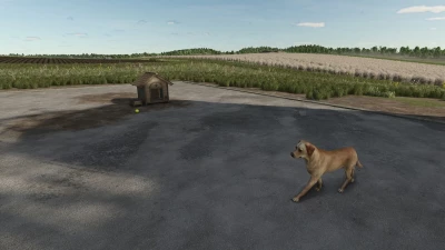 Who Let The Dogs Out v1.0.0.0