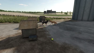 Who Let The Dogs Out v1.0.0.0