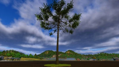 Arariaucaria v1.0.0.0