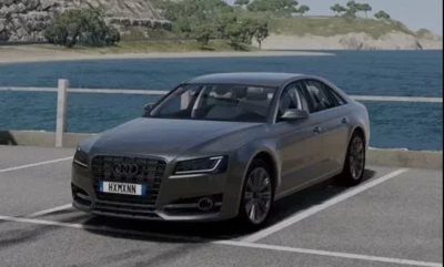 Audi D4 A8 v1.6 0.34x