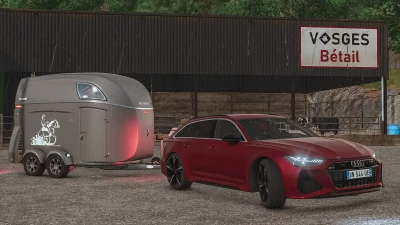 Audi RS6 Avant C8 v1.0.0.0