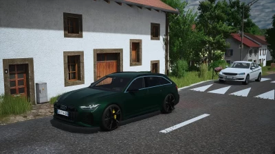 Audi RS6 Avant C8 v1.0.0.0