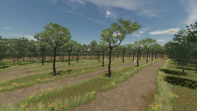 Castile And Leon: New Horizon v1.0.0.6