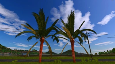 Coconut tree v1.0.0.0