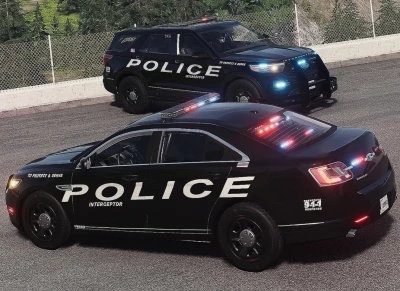 Ford Explorer & Ford Taurus 0.35