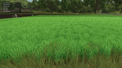 FS25 Grow Now v1.0.0.0