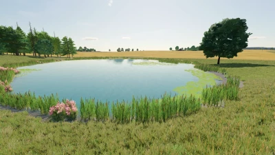 Mills County v1.0.0.0