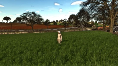 More beautiful grass v1.0.0.0