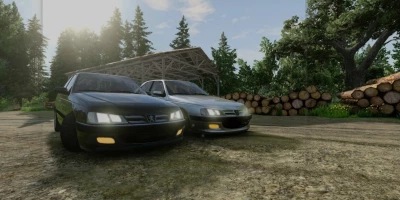 Peugeot pars v1.0 0.33x