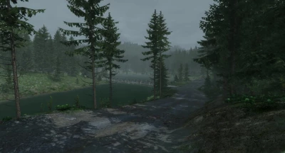 Rally Forest V1.5.1 0.29