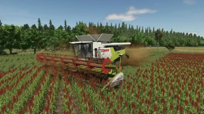 Sorghum Hirse Texture v1.0.0.0