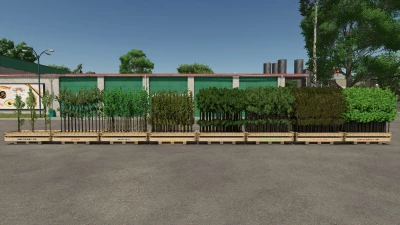 Tree Sapling Pack v1.0.0.1