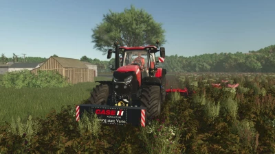 Case IH self made weight v1.0.0.0