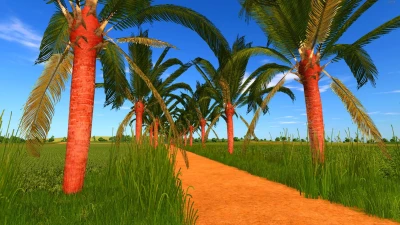 Coconut tree v1.1.0.0