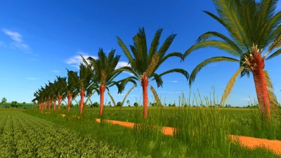 Coconut tree v1.1.0.0