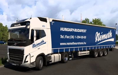 Combo Skin Németh Eurotrans LTD v1.0