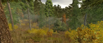 Ever Green Coast v1.0.0.2