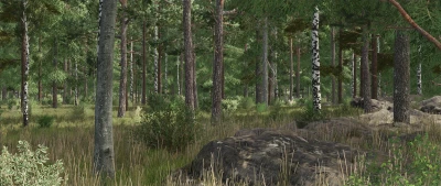 Ever Green Coast v1.0.0.2