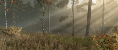 Ever Green Coast v1.0.0.2