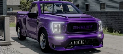 Ford F150 Shelby Finished 0.34