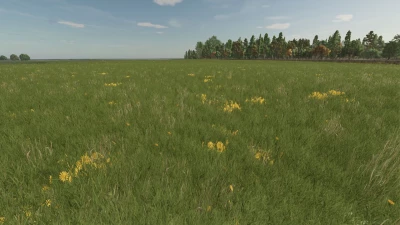 Grass with Dandelions and Daisies v1.0.0.0