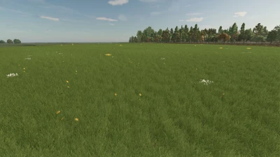 Grass with Dandelions and Daisies v1.0.0.0