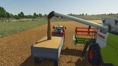 Lizard RSD4 v1.0.0.0