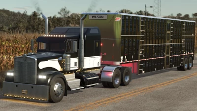 Lizard W900 B v1.0.0.0