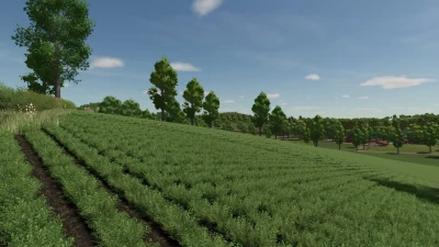 Map Feliz v1.1.0.1