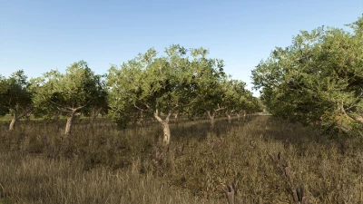 Olives + Olive Picker v1.0.0.0