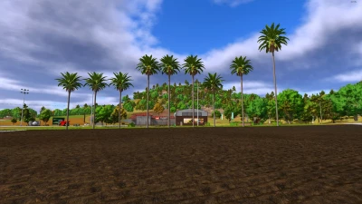 Palm tree pack v1.1.0.0
