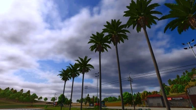 Palm tree pack v1.1.0.0