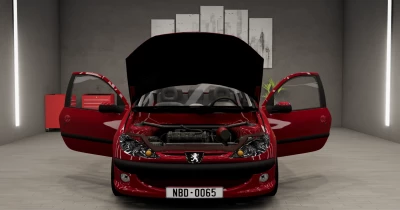 Peugeot 206 v1.0